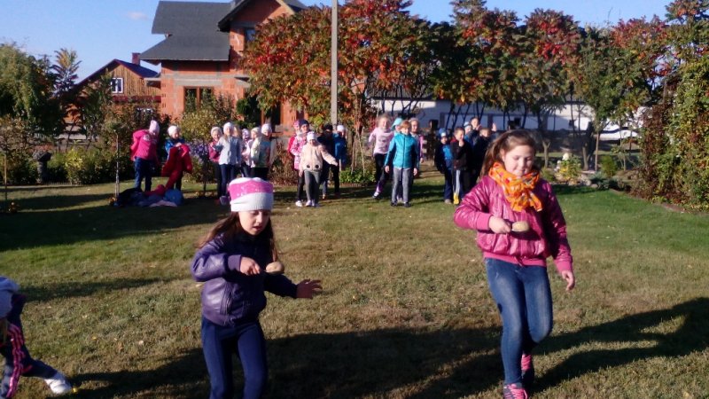 Święto pieczonego ziemniaka 2016